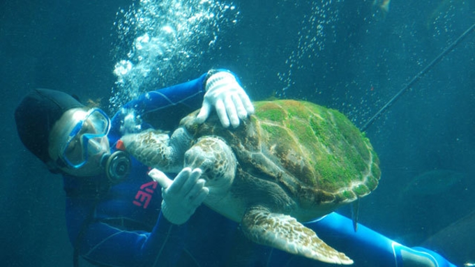 【チケット分無料】下田海中水族館入館チケット付きファミリープラン　2024.4/1〜7/9